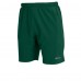 Reece Legacy shortsit