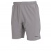 Reece Legacy shortsit